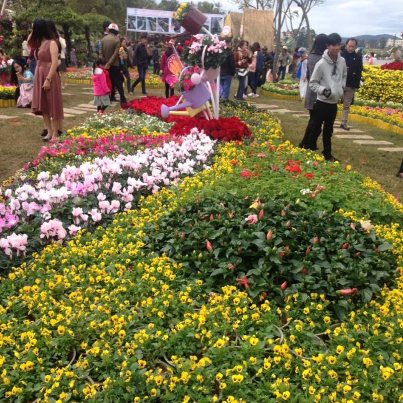 Dalat Flower Festival 2017