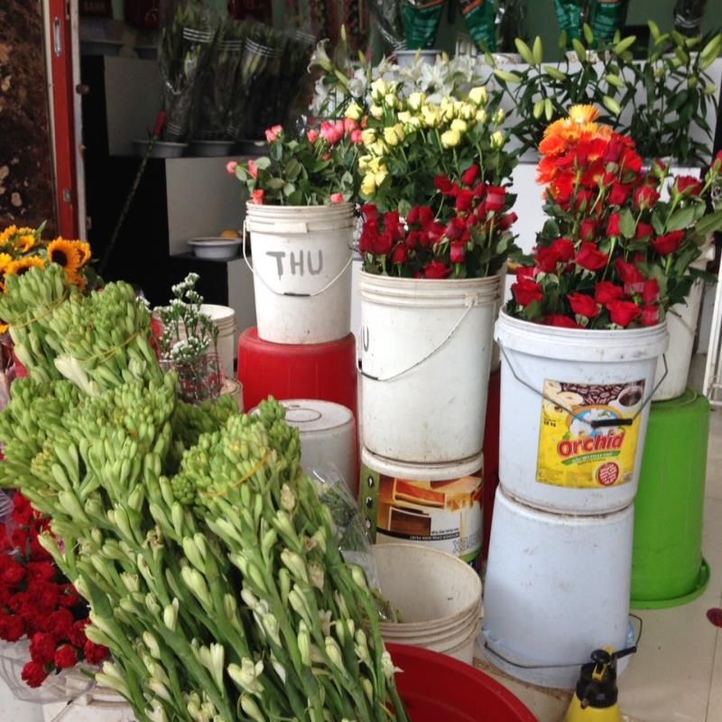Dalat's Flowers